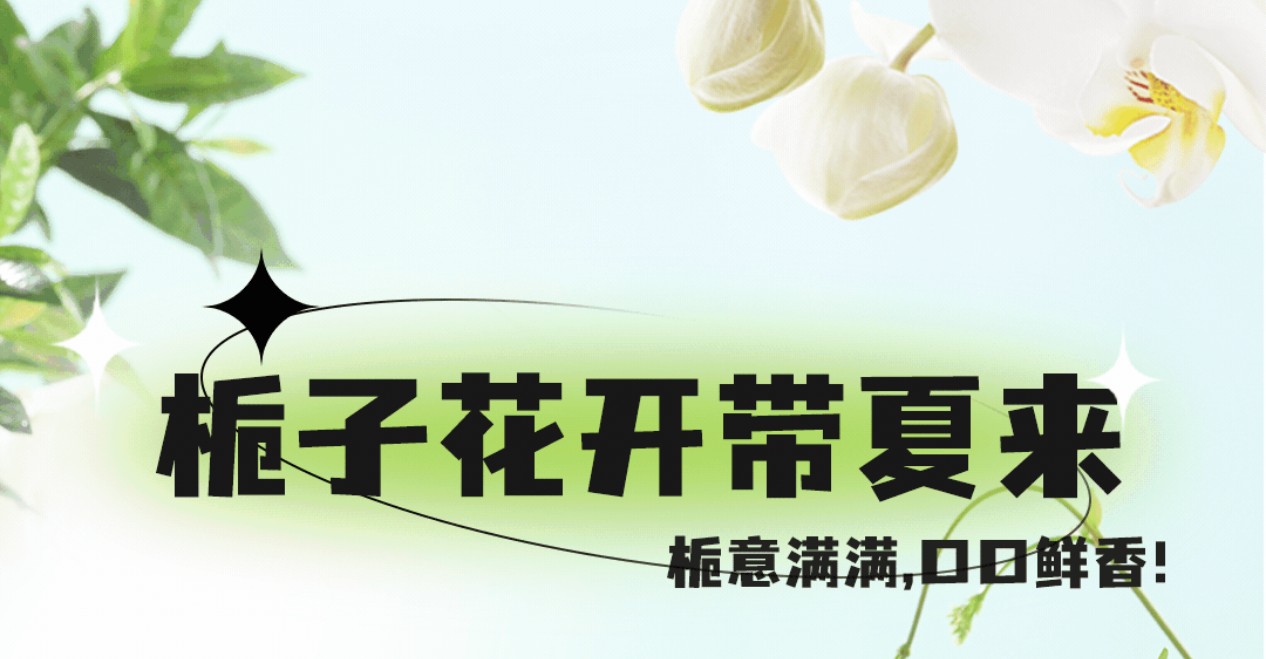 梔子花茶7月新上市，梔意滿滿，帶你入夏！