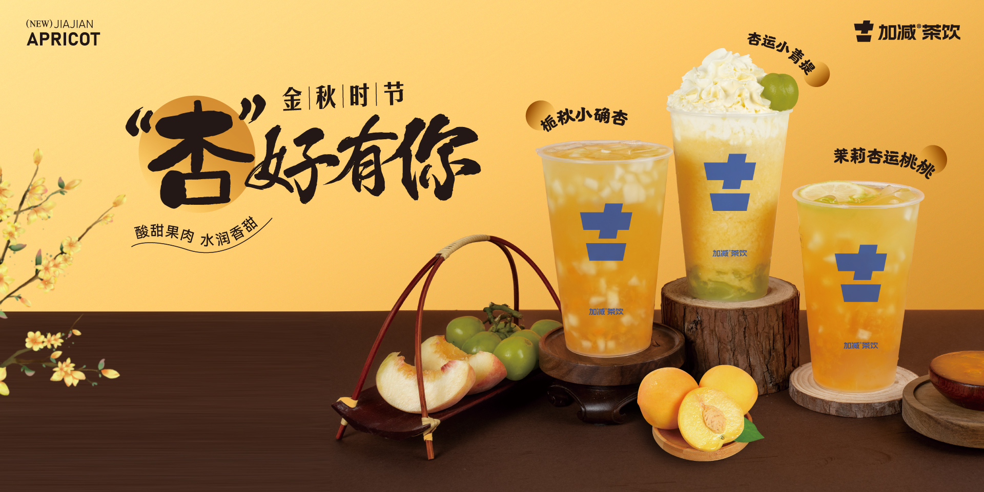 金秋時(shí)節(jié)，“杏”好有你